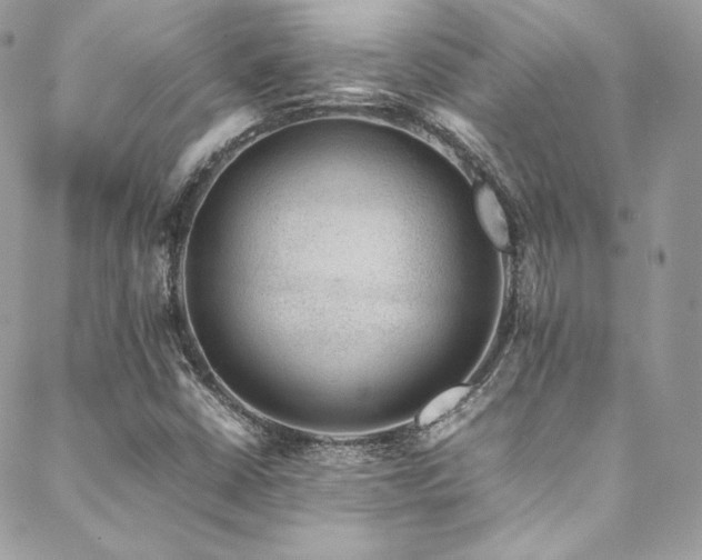 X0000089461402200706151422