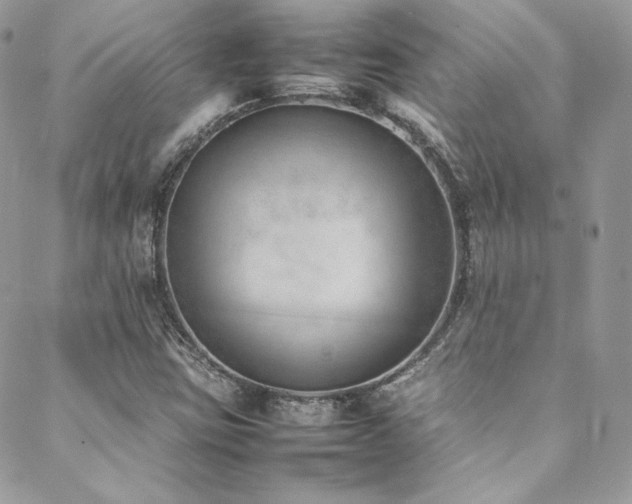 X0000089461403200706151422