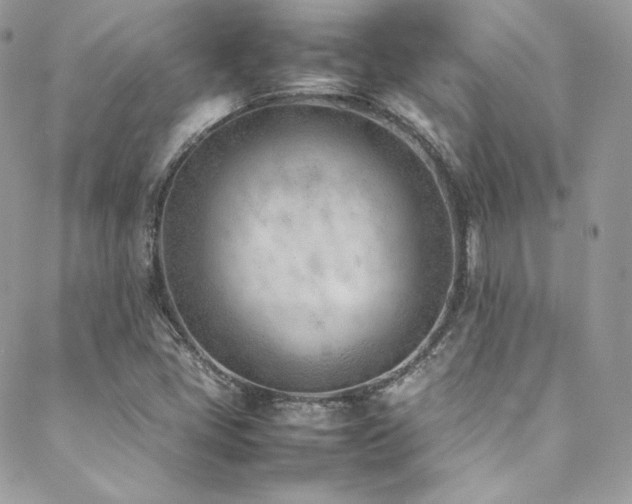 X0000089461405200706151422