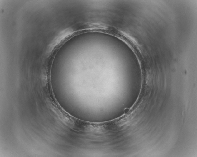X0000089461407200706151422