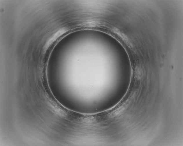 X0000089461410200706151422