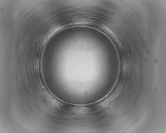 X0000089461417200706151422