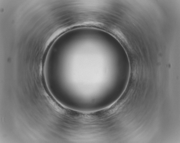 X0000089461420200706151422