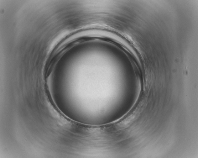 X0000089461422200706151422