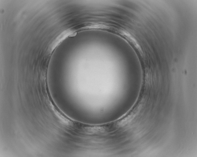 X0000089461425200706151422