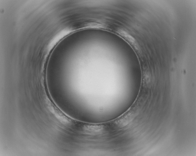 X0000089461427200706151422