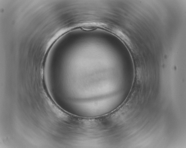 X0000089461428200706151422