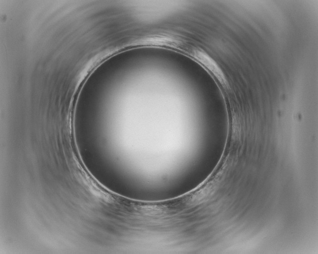 X0000089461436200706151423