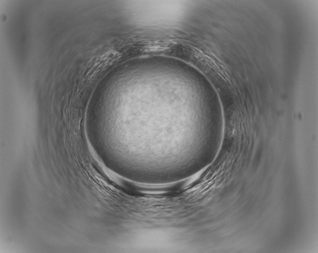 X0000089461441200706151422