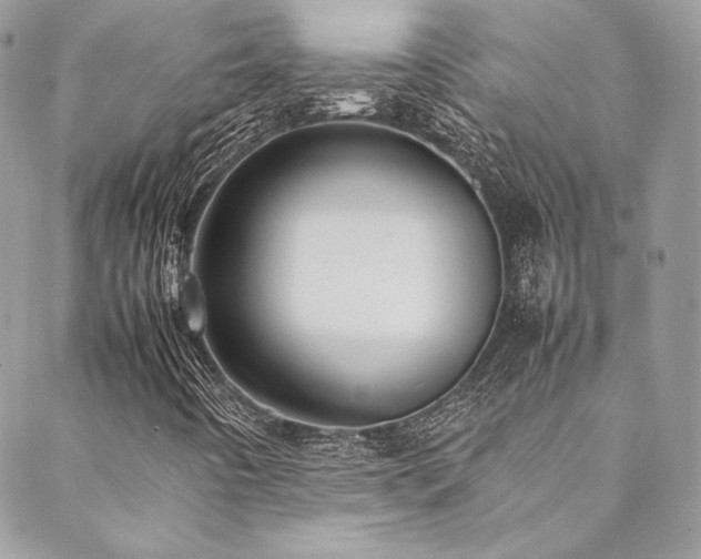 X0000089461442200706151422