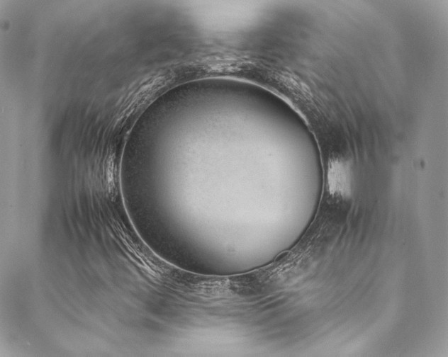 X0000089461444200706151422