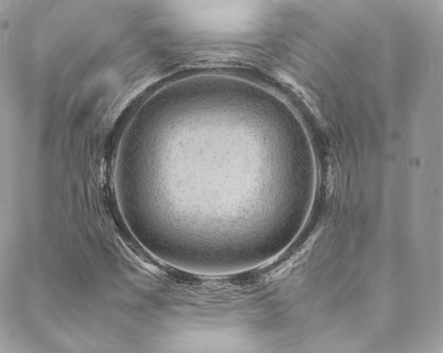 X0000089461449200706151422