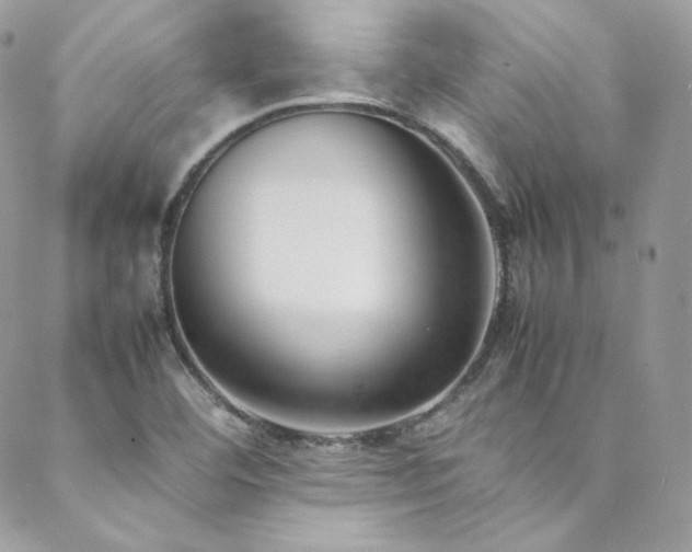 X0000089461460200706151422