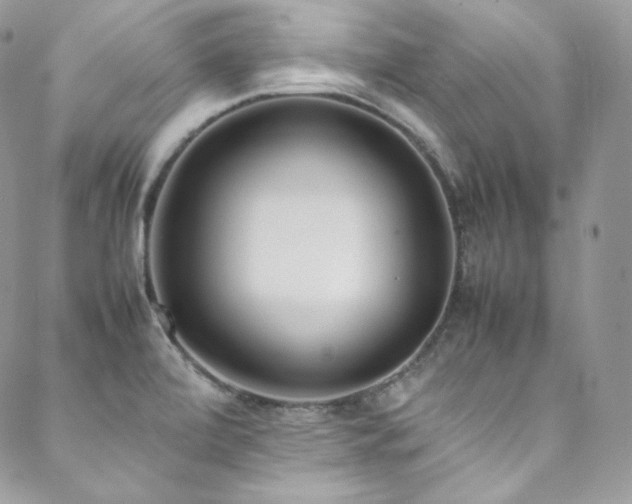 X0000089461472200706151421