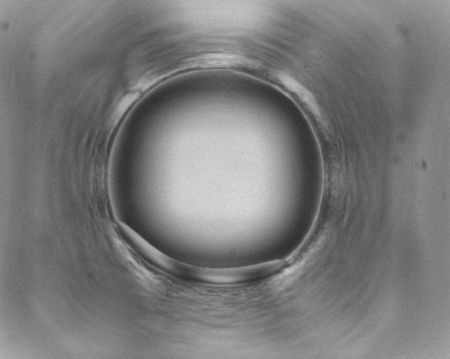X0000089461473200706151421
