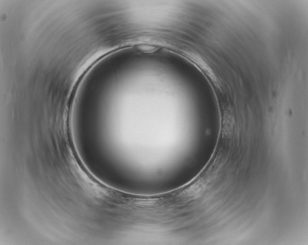 X0000089461484200706151421