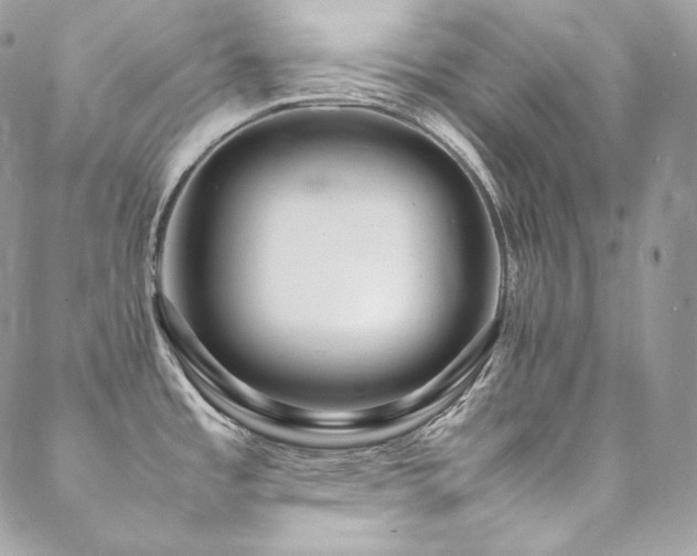 X0000089461485200706151421