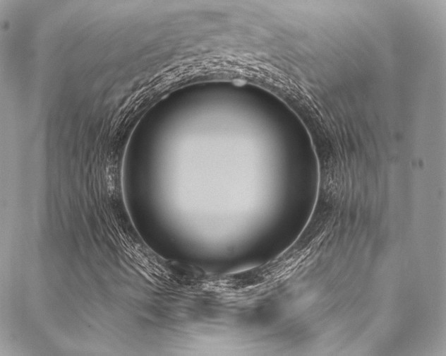 X0000089461490200706151420