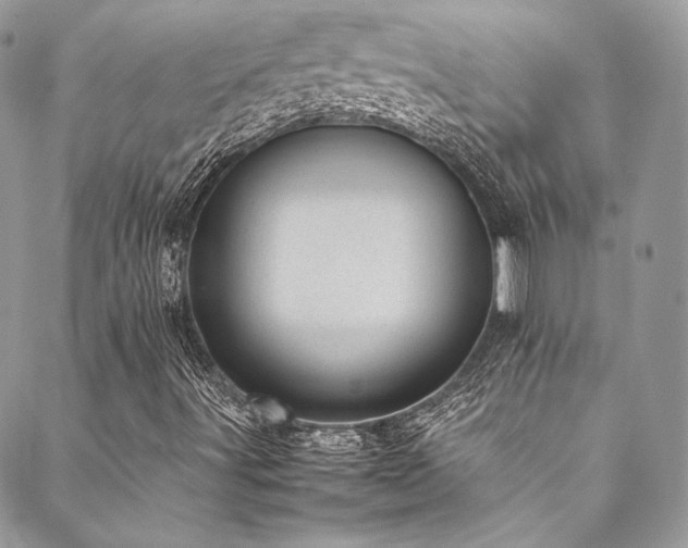 X0000089461491200706151420