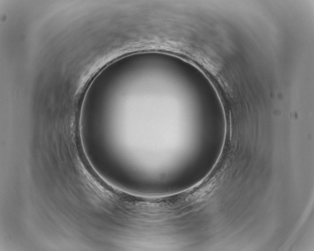 X0000089461500200706151421