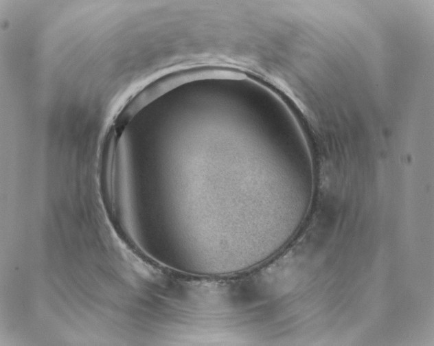 X0000089461508200706151421
