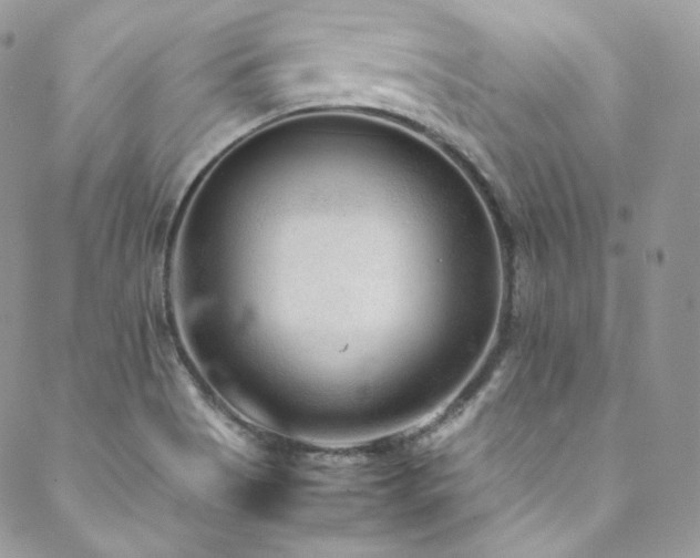 X0000089461513200706151421