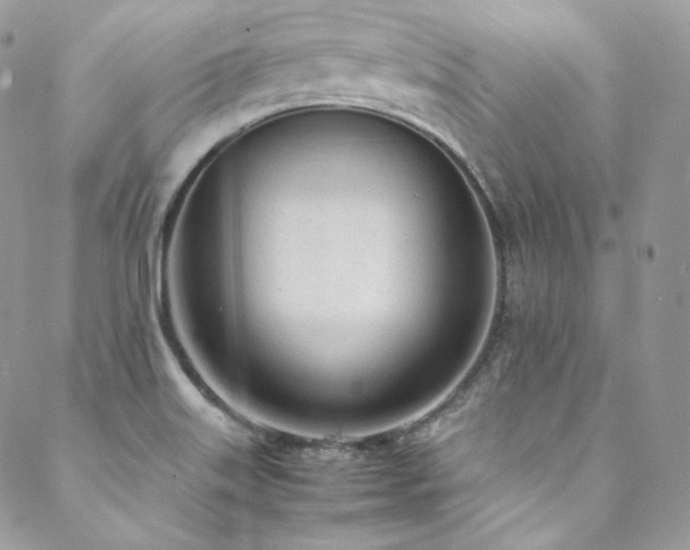 X0000089461515200706151421