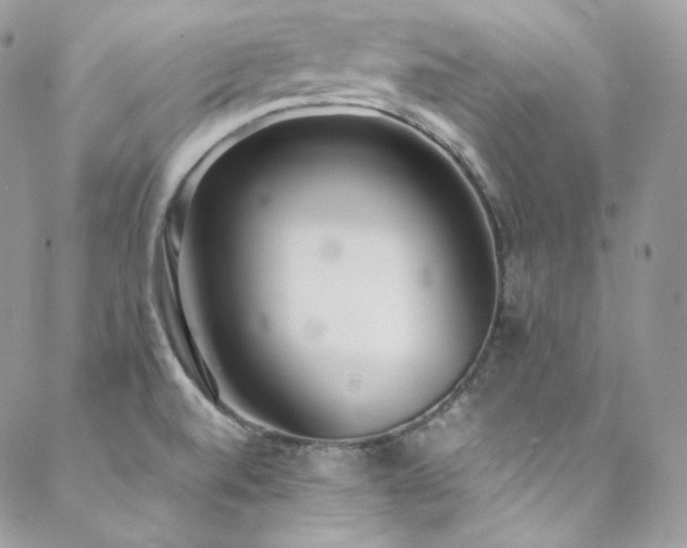 X0000089461520200706151421