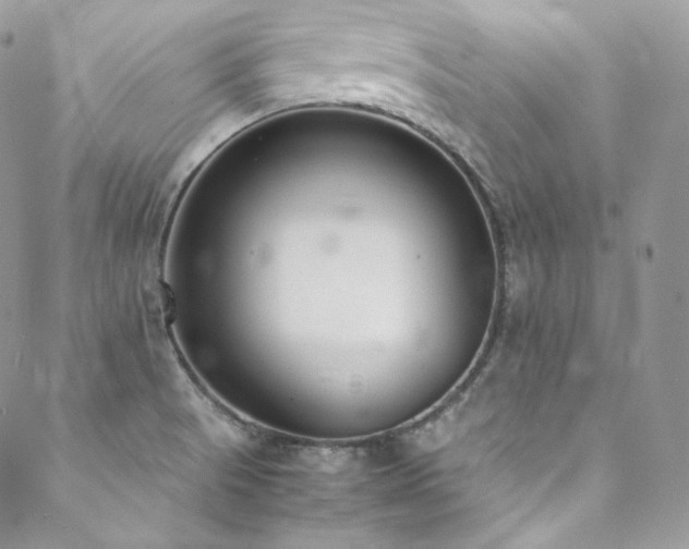 X0000089461521200706151421