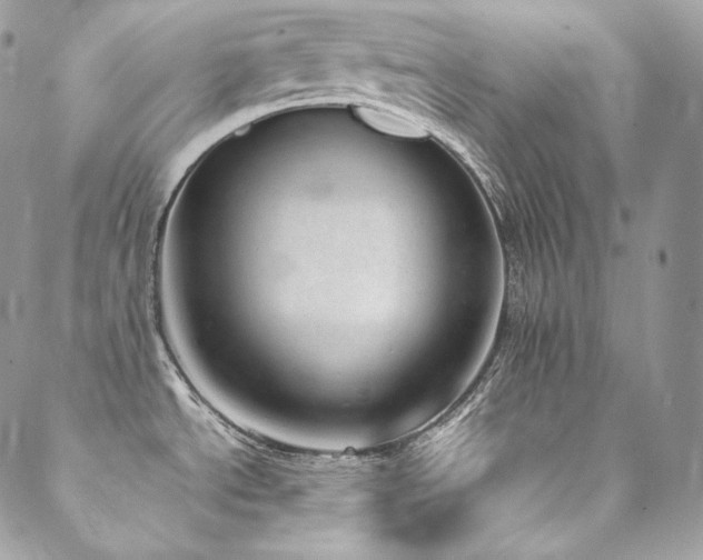 X0000089461534200706151421