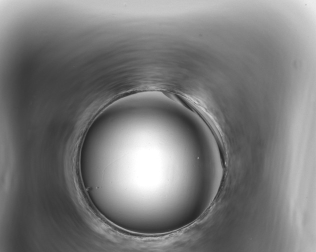 X0000089460001200706221313