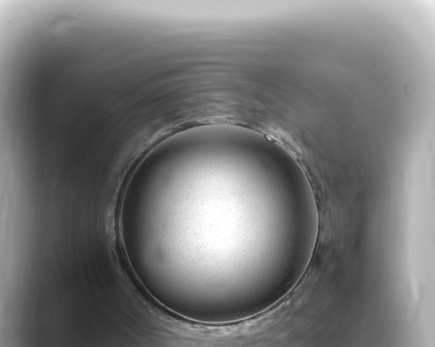 X0000089460002200706221313