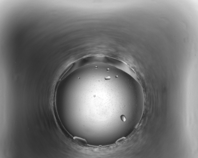 X0000089460003200706221313