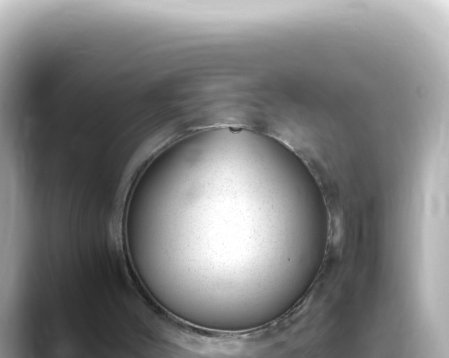 X0000089460004200706221313