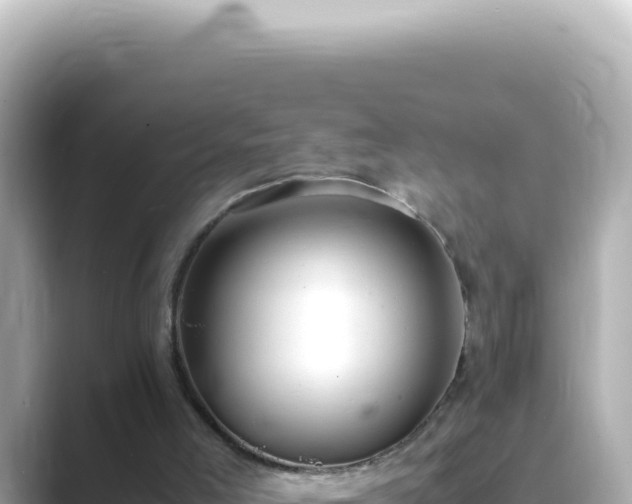 X0000089460005200706221313