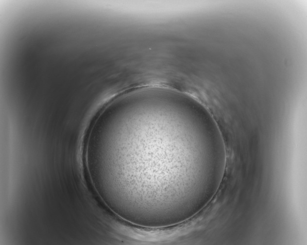 X0000089460006200706221313