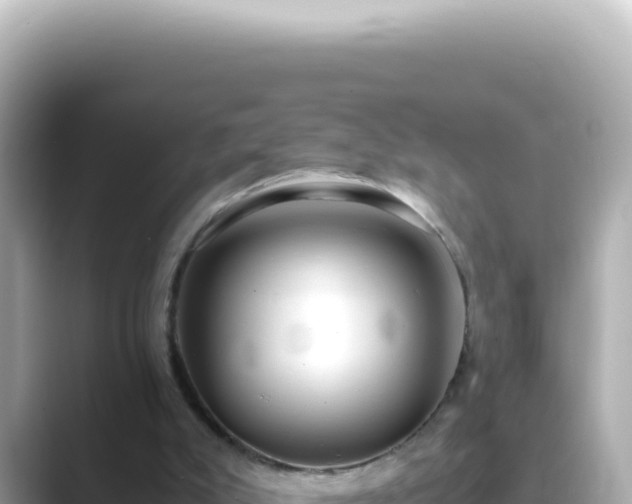 X0000089460007200706221313