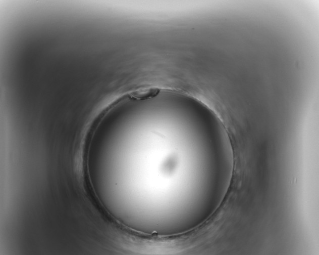X0000089460008200706221313