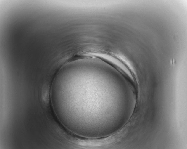X0000089460009200706221313