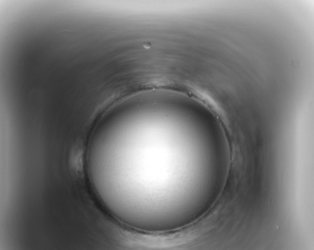 X0000089460010200706221313