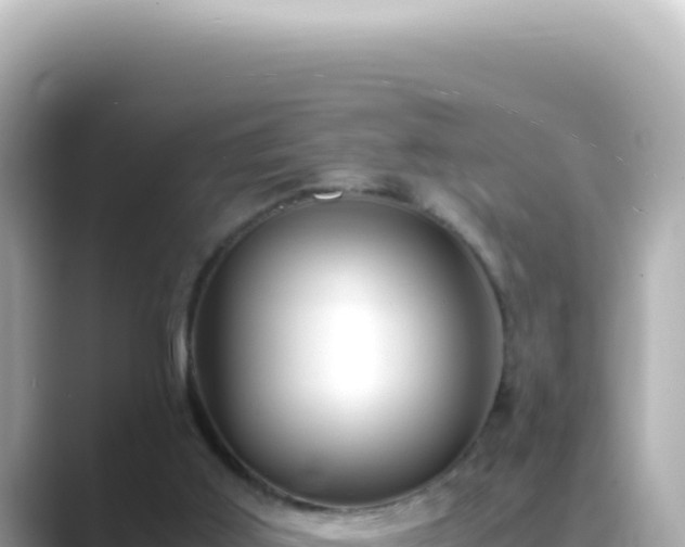 X0000089460011200706221313