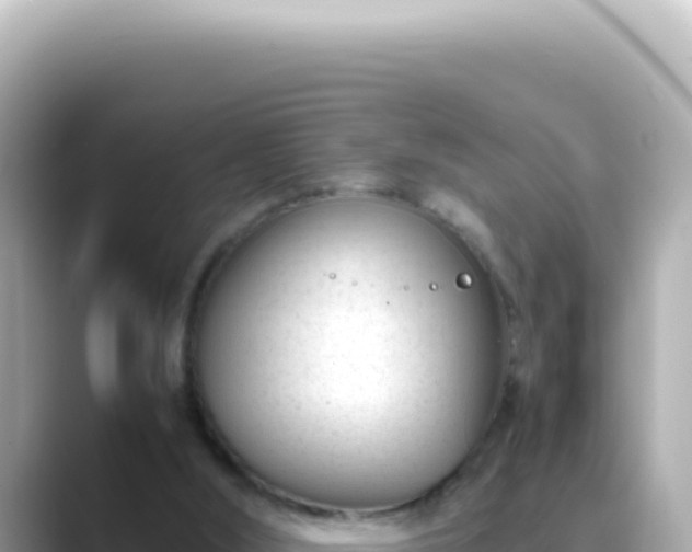 X0000089460012200706221313