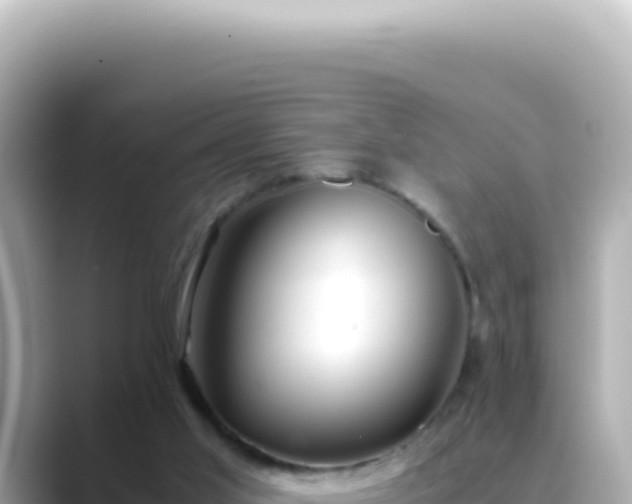 X0000089460013200706221313