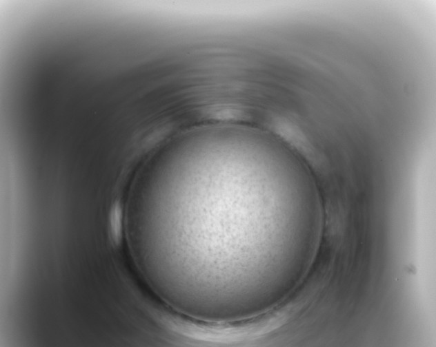 X0000089460014200706221313