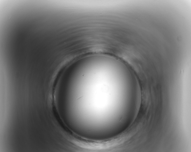 X0000089460015200706221313