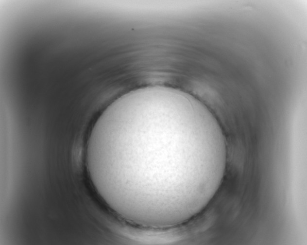 X0000089460016200706221313