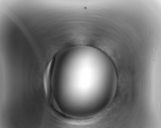 X0000089460017200706221313