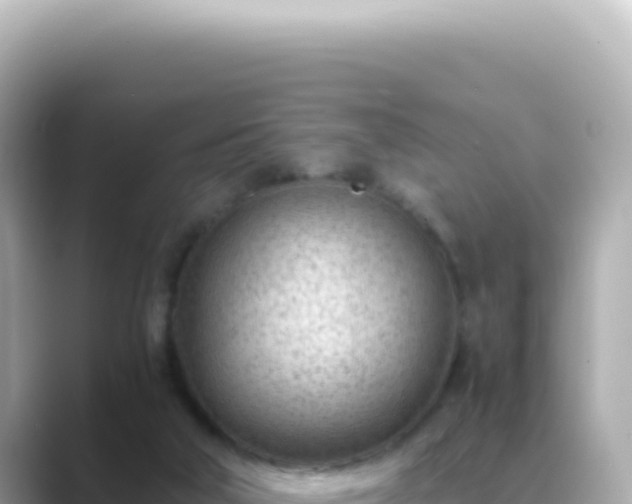 X0000089460018200706221313