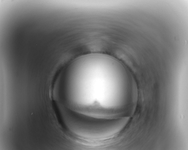 X0000089460019200706221313