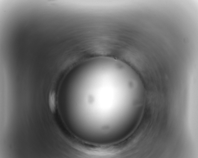 X0000089460020200706221313